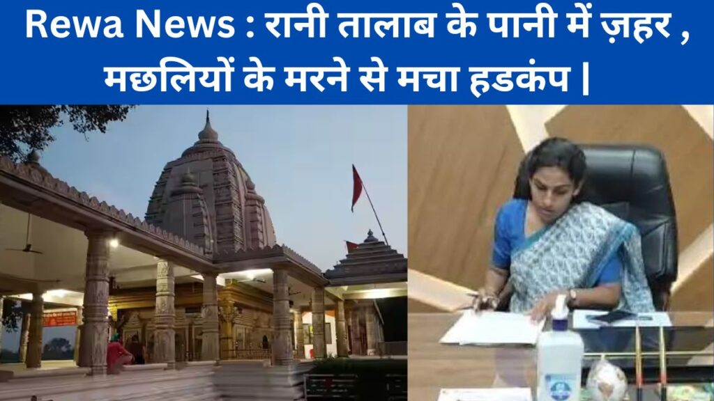 Rewa News : रानी तालाब के पानी में ज़हर , मछलियों के मरने से मचा हडकंप |