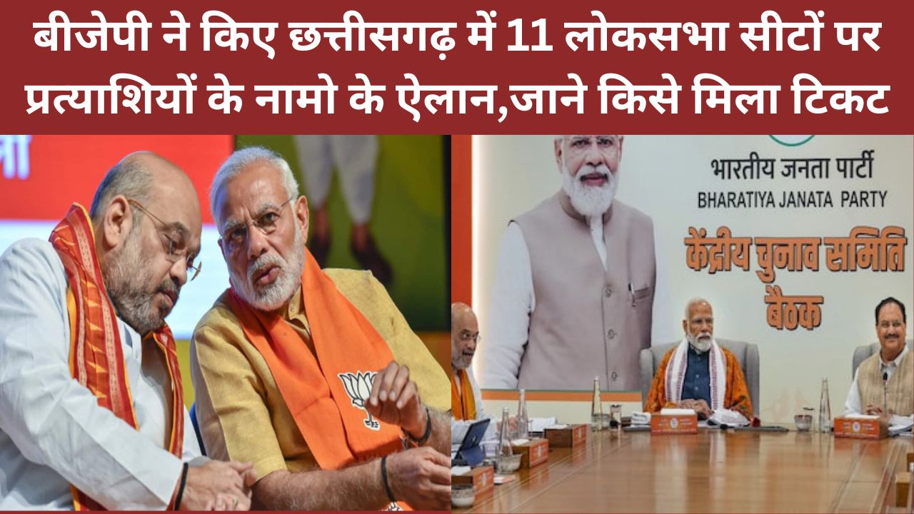 Loksabha Election first list : बीजेपी ने किए छत्तीसगढ़ में 11 लोकसभा सीटों पर प्रत्याशियों के नामो के ऐलान,जाने किसे मिला टिकट