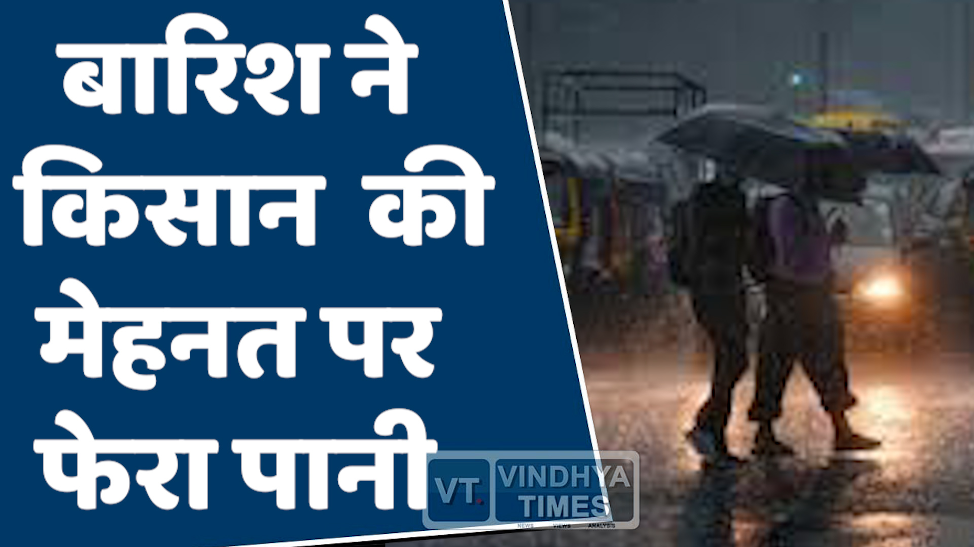 MP News : बारिश बनी मुसीबत, किसानों की मेहनत पर फिरा पानी