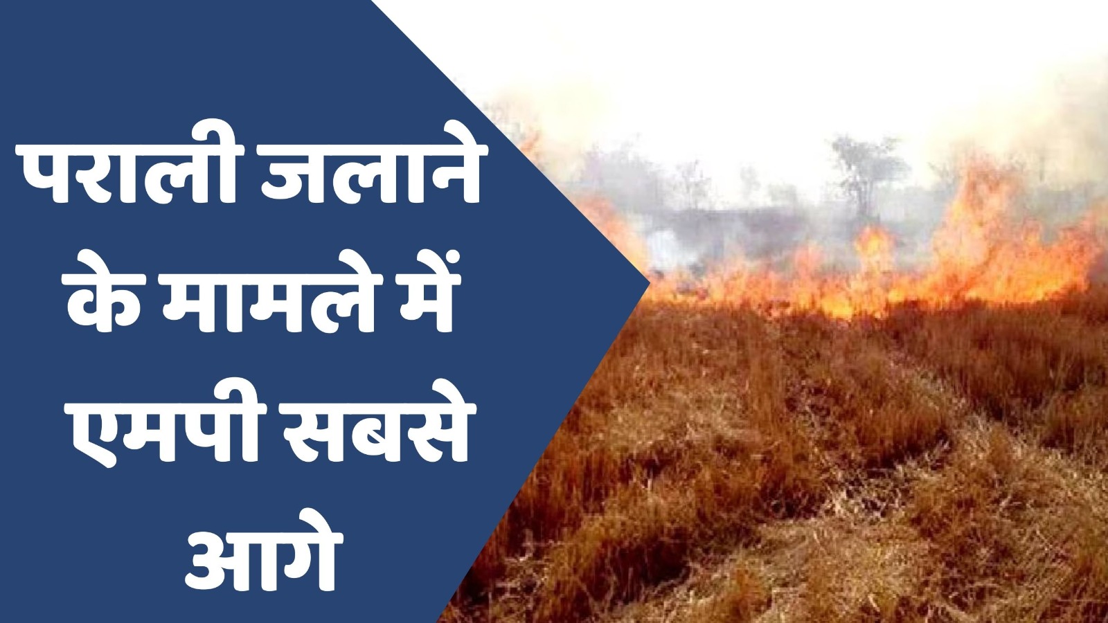 MP News : एमपी में पराली जलाने से घटी मिट्टी की क्षमता