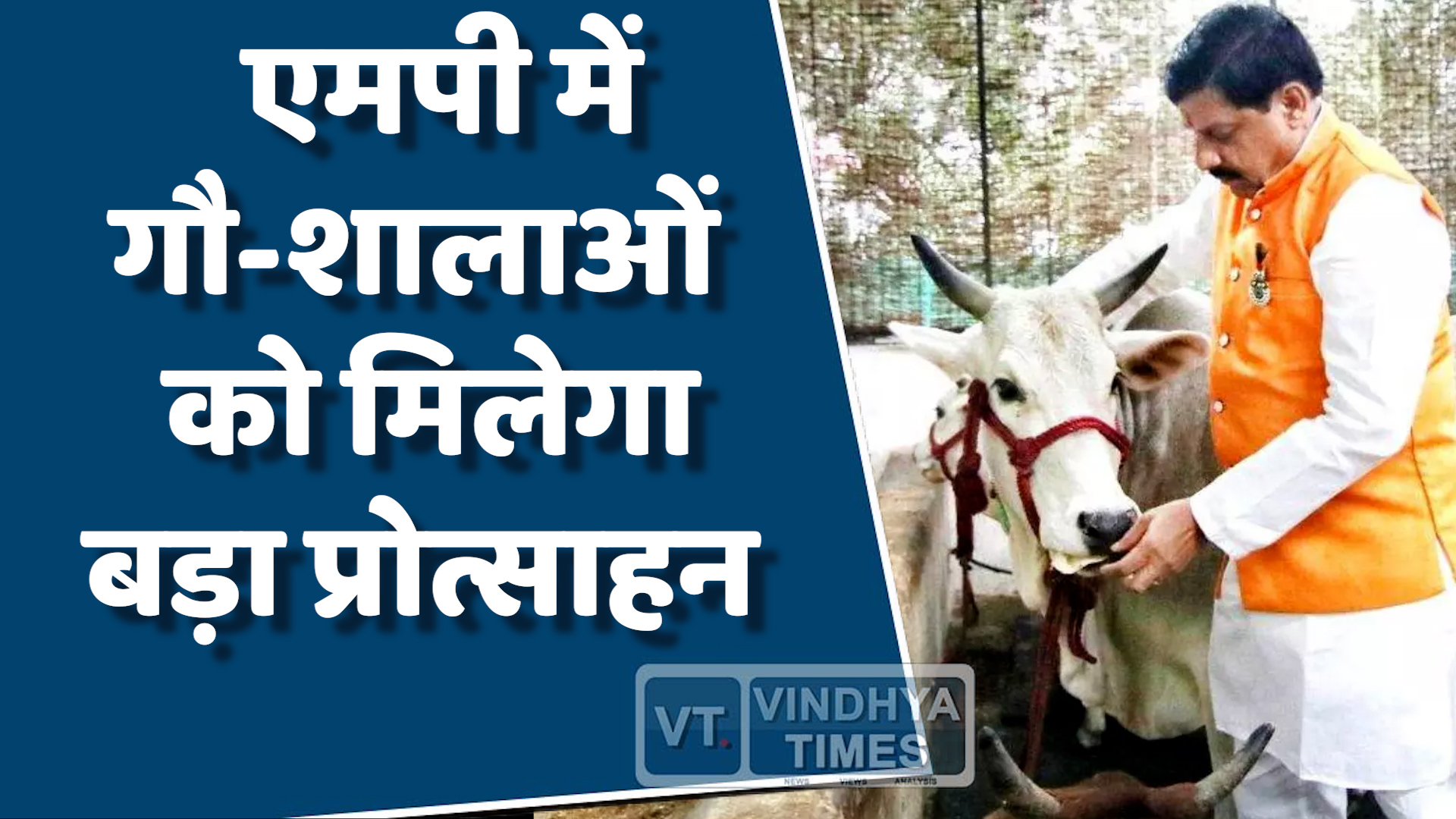 MP News : एमपी की राजधानी में होगा प्रदेश स्तरीय गौ-शाला सम्मेलन