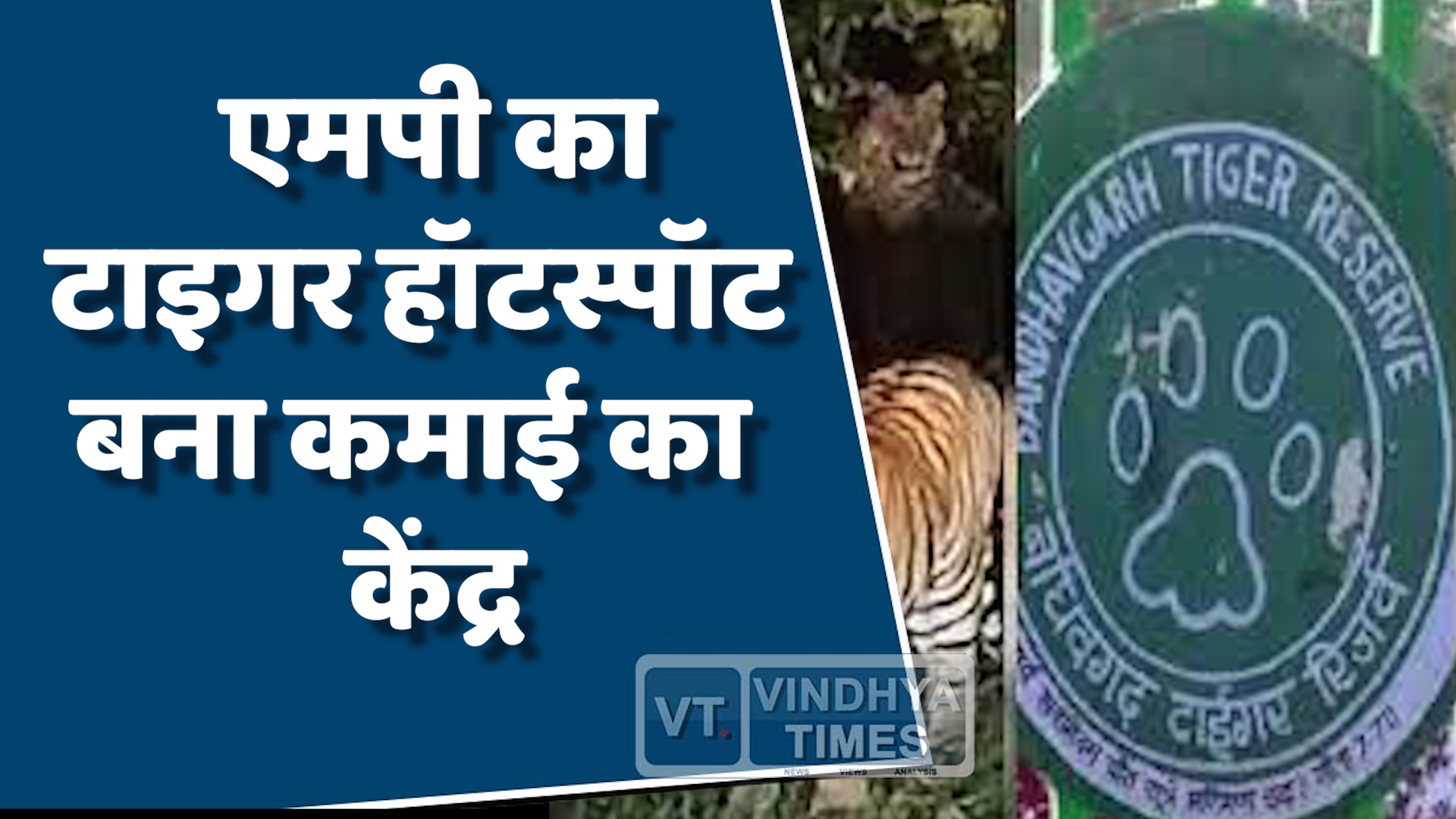 MP News : एमपी का गौरव बांधवगढ़, टाइगर सफारी से बढ़ी राज्य की आमदनी
