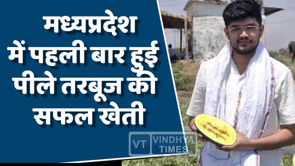 MP News : एमपी में पहली बार हुई पीले तरबूज की खेती, युवा किसानों ने रचा इतिहास