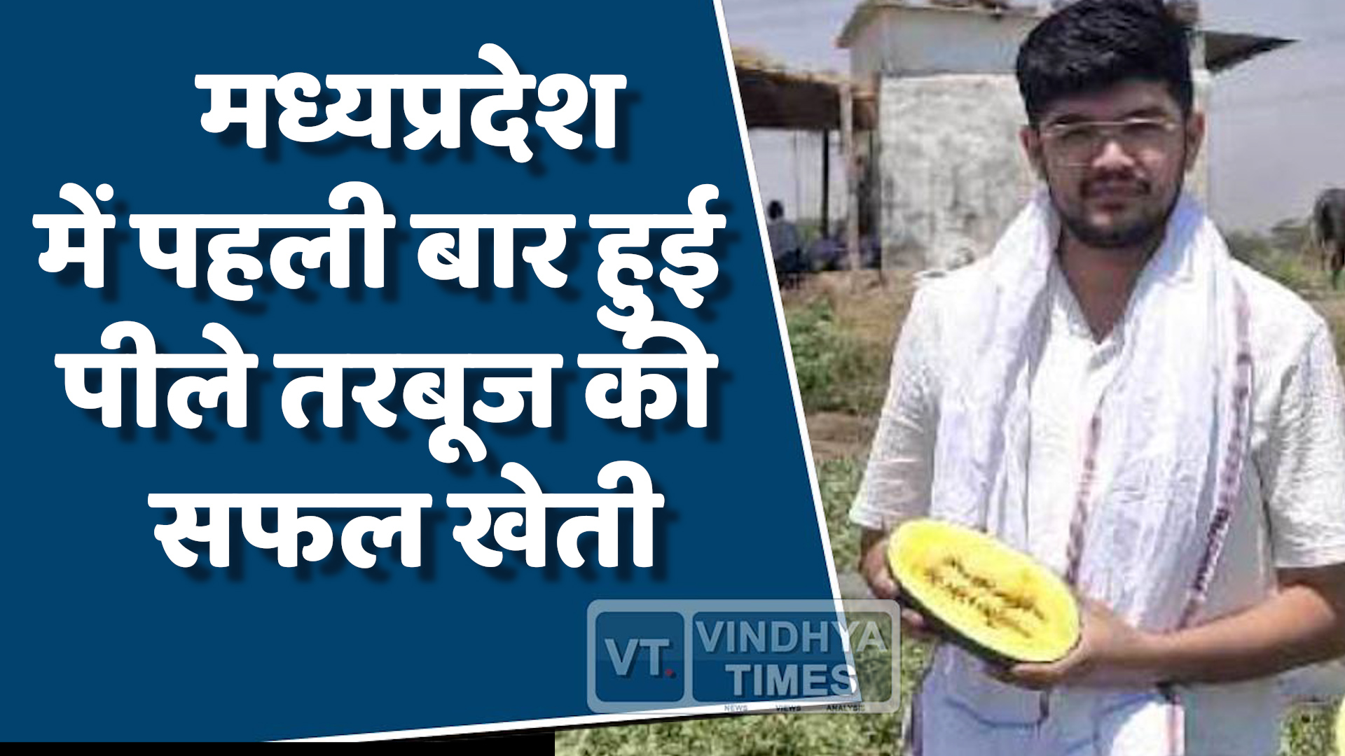 MP News : एमपी में पहली बार हुई पीले तरबूज की खेती, युवा किसानों ने रचा इतिहास
