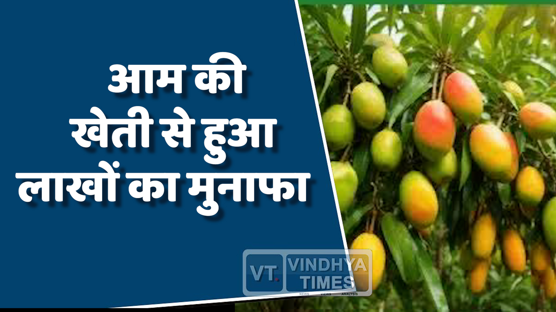 MP News : बिज़नस दुनिया से निकल कर खेती में रचा नया इतिहास