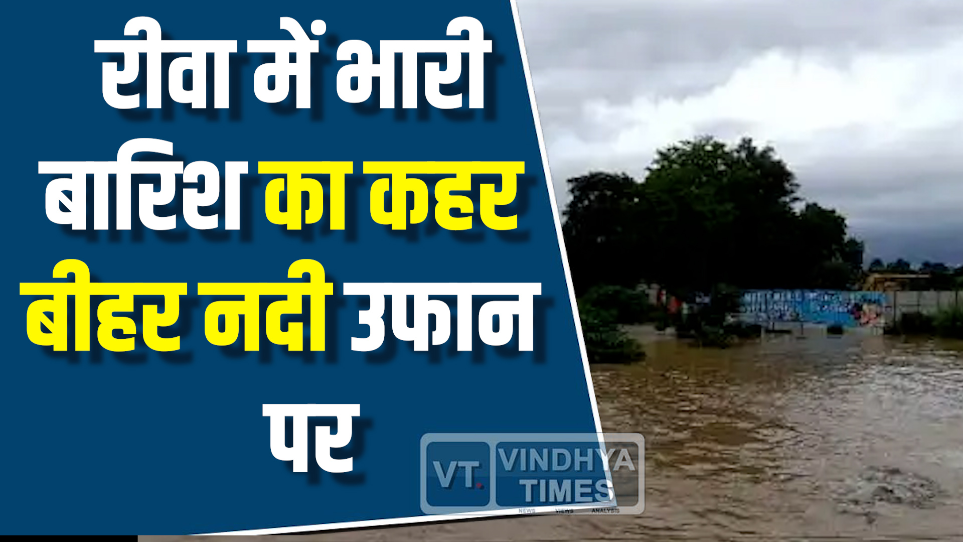 Rewa News : रीवा में भारी बारिश का कहर, बीहर नदी उफान पर