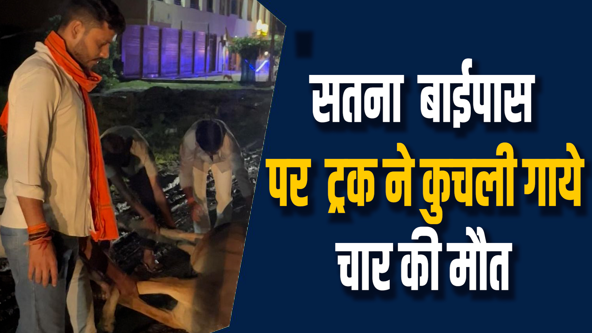 Satna News: सतना में ट्रक ने मवेशियों को कुचला, चार की मौत