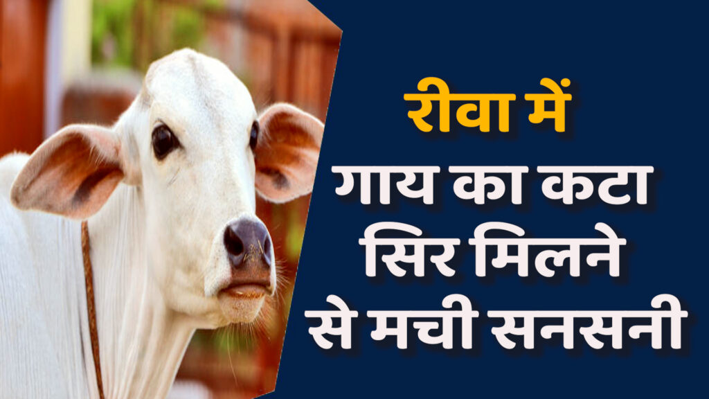 Rewa News:रीवा में हिन्दू समाज ने जताया आक्रोश , दो आरोपी गिरफ्तार