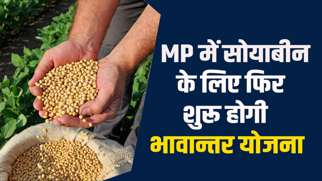 MP News: MPमें फिर होगा भावान्तर योजना, सोयाबीन पर घाटा नही