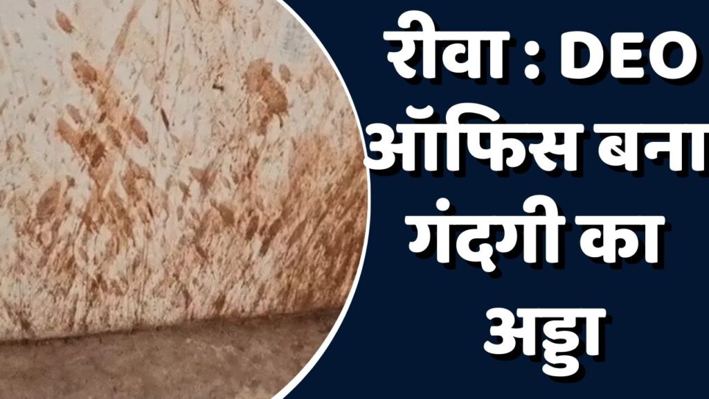 Rewa News: रीवा DEO ऑफिस गंदगी में डूबा, पान-गुटके से रंगी दीवारें