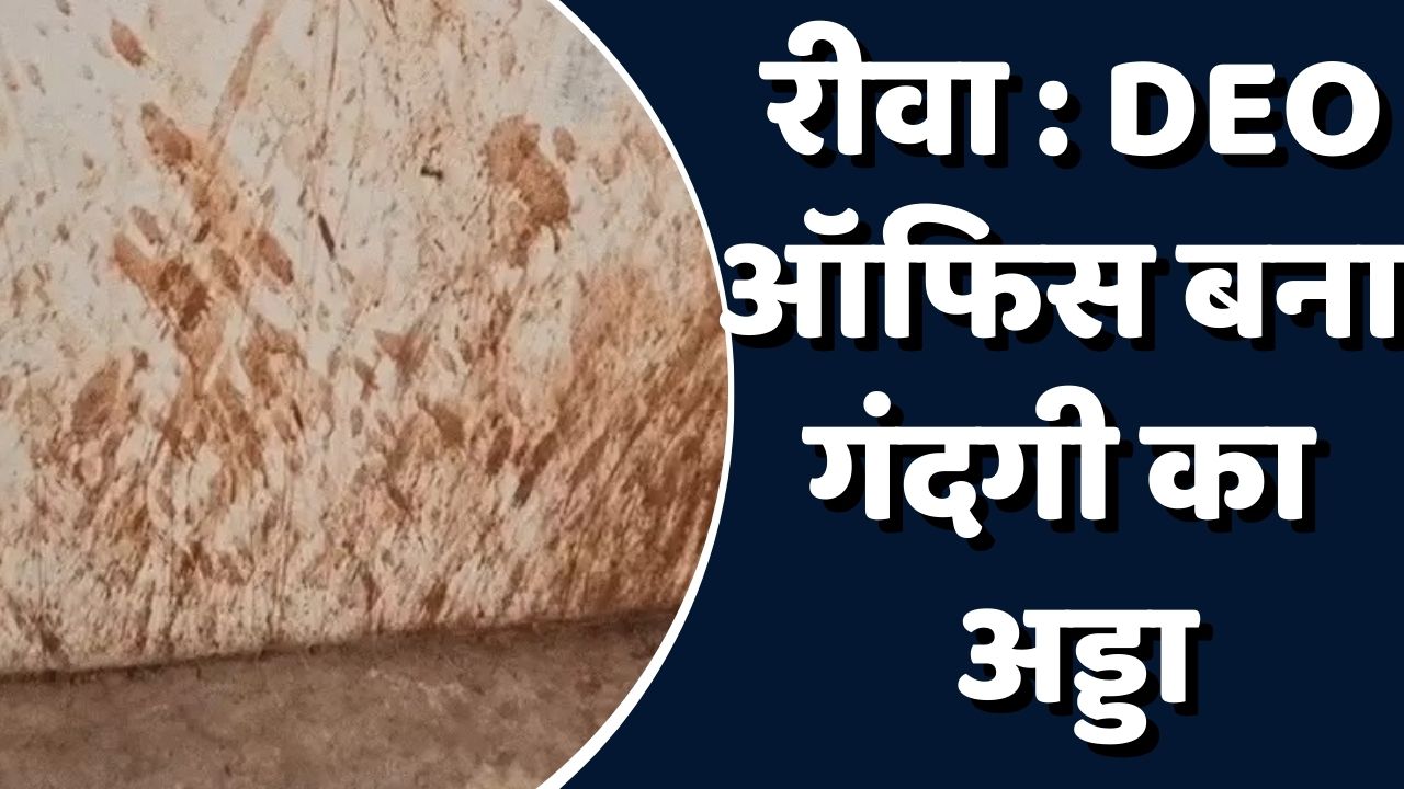 Rewa News: रीवा DEO ऑफिस गंदगी में डूबा, पान-गुटके से रंगी दीवारें