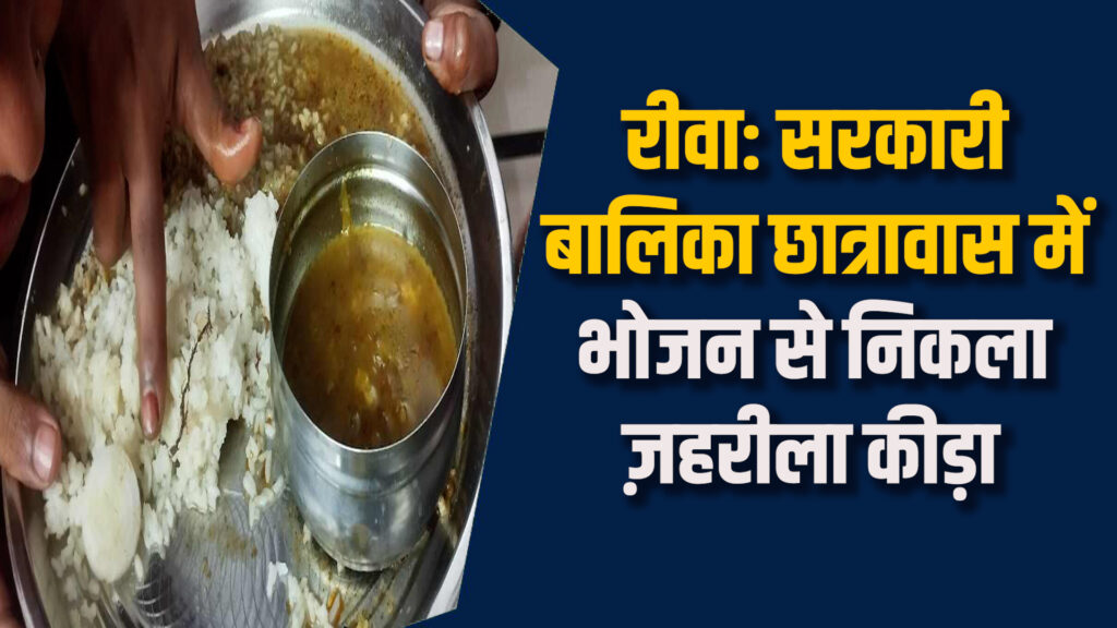 Rewa News: रीवा के सरकारी बालिका छात्रावास में दाल में निकला कीड़ा, छात्राओं में हड़कंप