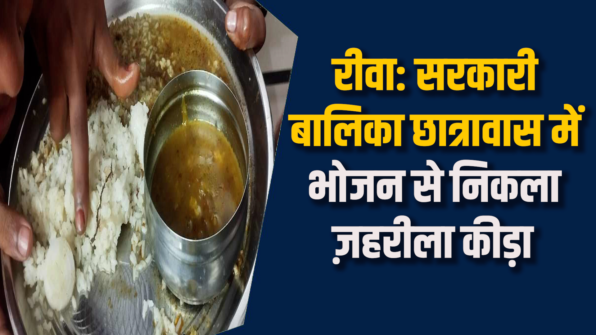 Rewa News: रीवा के सरकारी बालिका छात्रावास में दाल में निकला कीड़ा, छात्राओं में हड़कंप