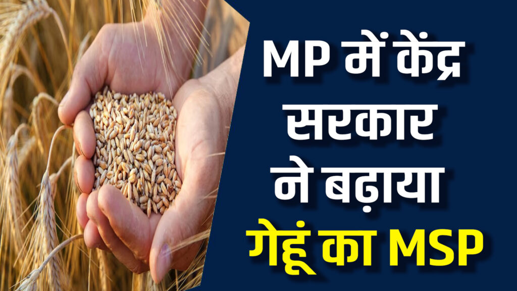 MP News: CM ने दिया किसानों को तोहफा, गेहूं का समर्थन मूल्य बढ़ा