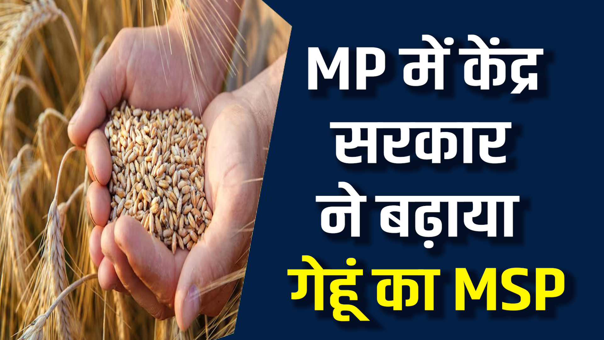 MP News: CM ने दिया किसानों को तोहफा, गेहूं का समर्थन मूल्य बढ़ा