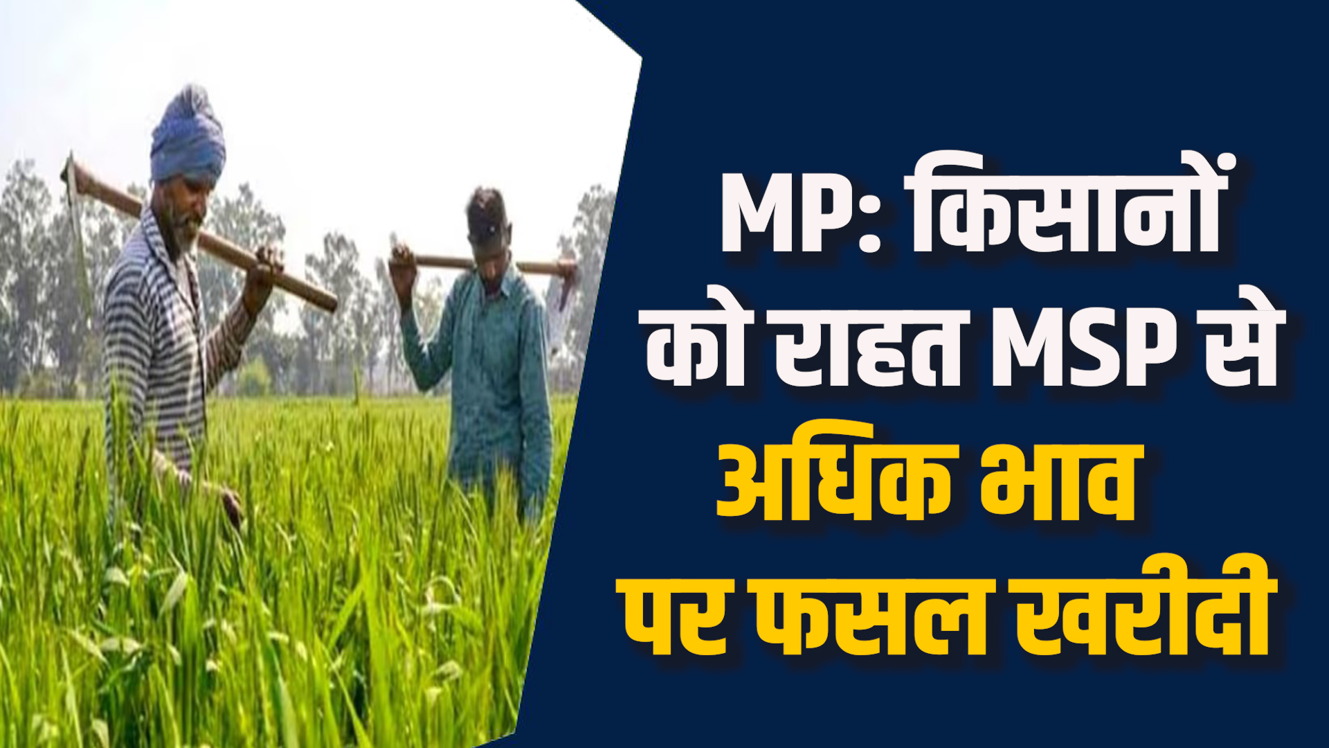 MP News: MP के किसानों को राहत, MSP से ऊपर भाव पर फसल खरीदी