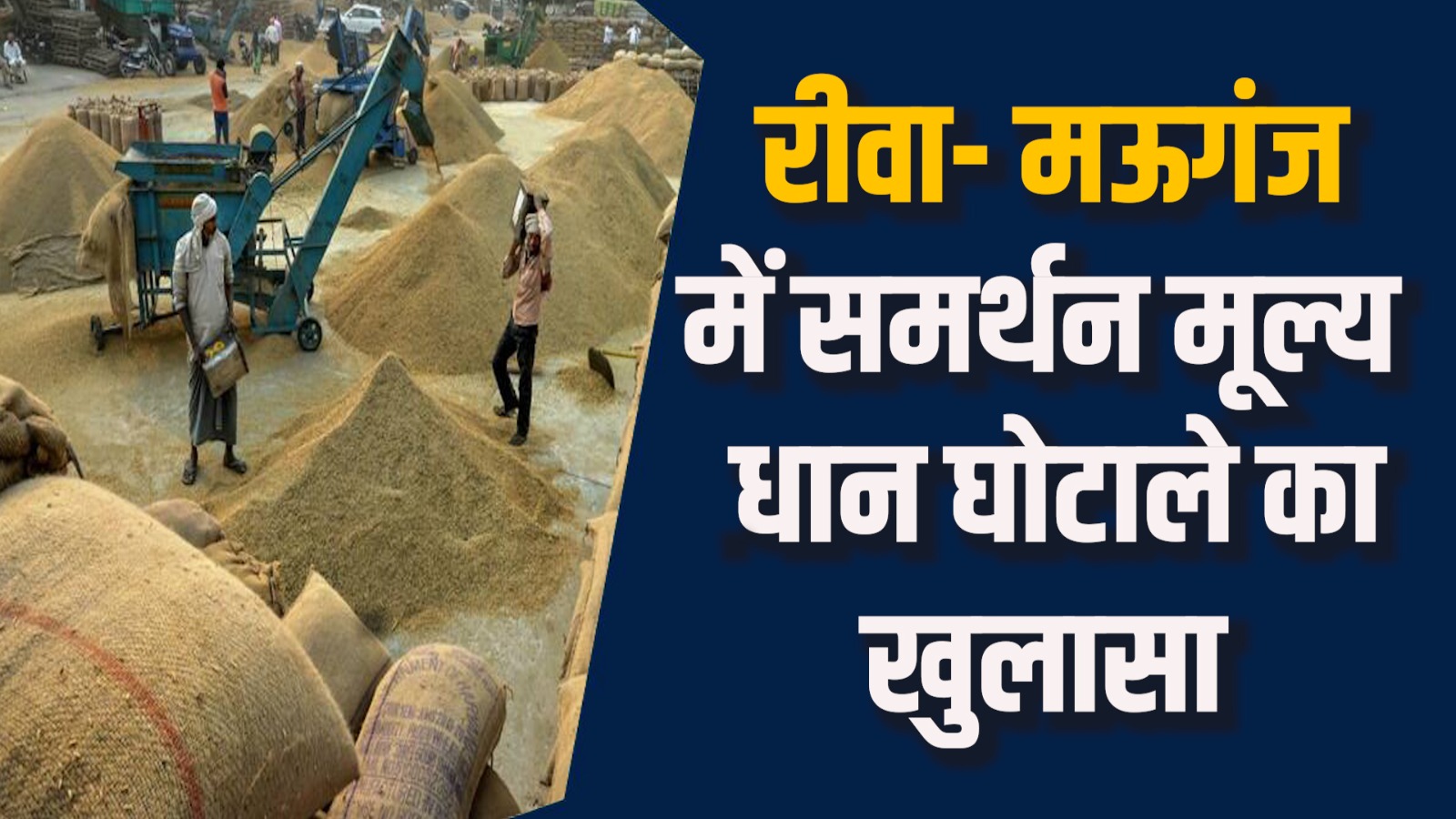 Rewa News: रीवा में धान खरीदी घोटाले से किसानों को नुकसान