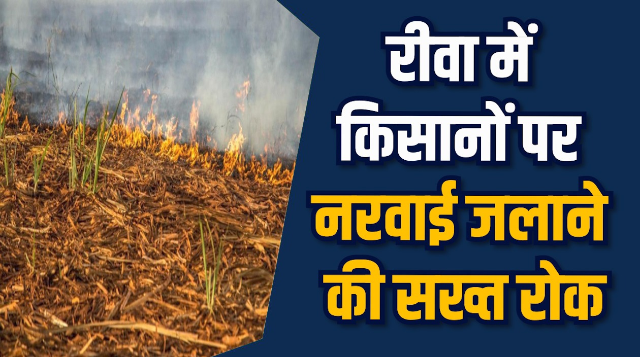 Rewa News: रीवा कलेक्टर का आदेश खेतों में आग पर पाबंदी
