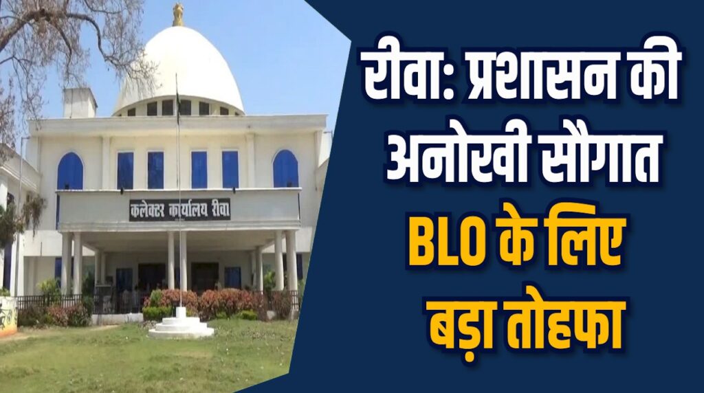 Rewa News: रीवा में मेहनती BLO को मिलेगा फ्री मूवी डिनर और सफारी पास