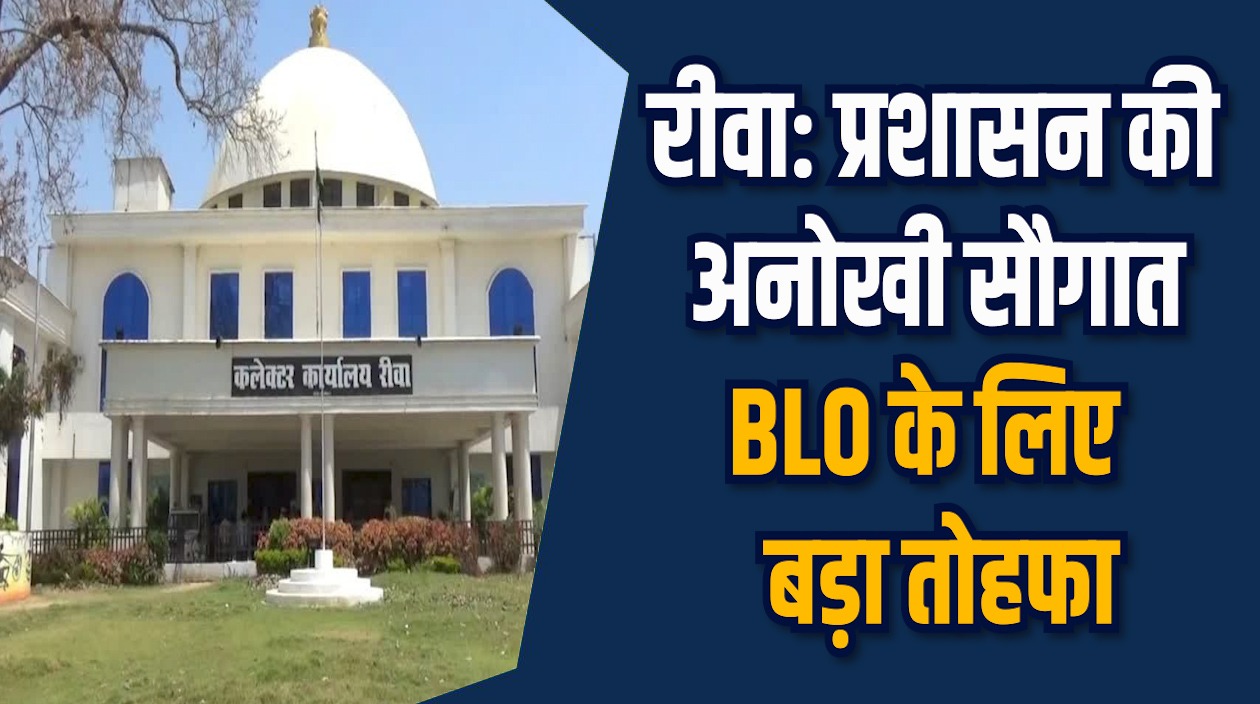 Rewa News: रीवा में मेहनती BLO को मिलेगा फ्री मूवी डिनर और सफारी पास