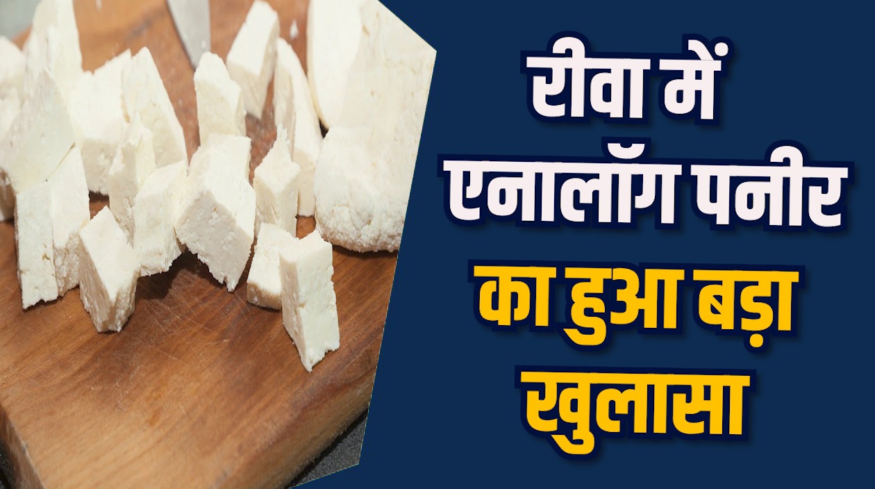 Rewa News: रीवा में शादी के सीजन में नकली पनीर का खेल हुआ बेनकाब