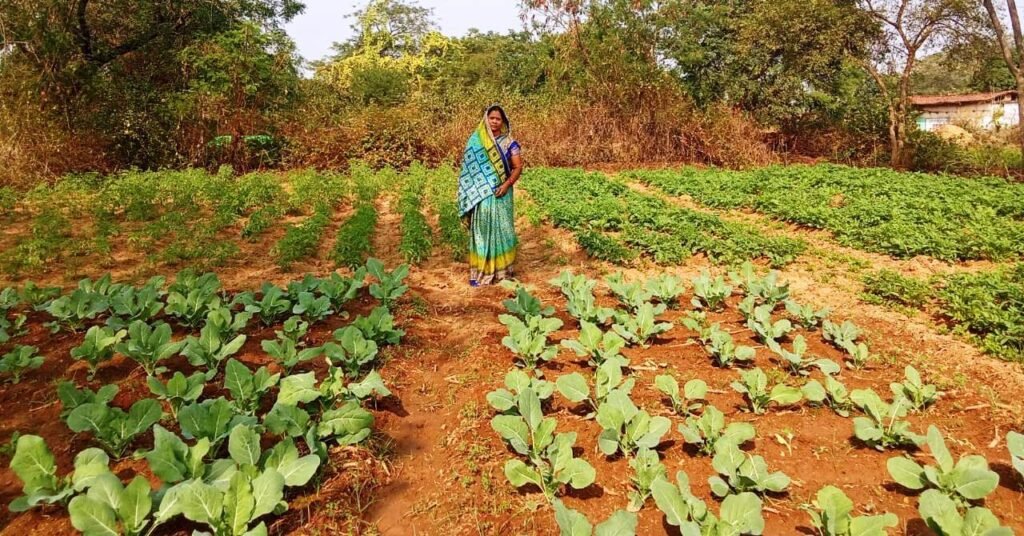 CG News : बिहान योजना बनी ग्रामीण महिलाओं की ताकत, संजुलता सेठ ने रची आत्मनिर्भरता की नई कहानी