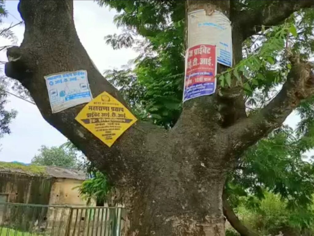 CGNews: पेड़ों पर विज्ञापन लगाने वालों पर वन विभाग सख्त, एफआईआर और खर्च वसूली की चेतावनी
