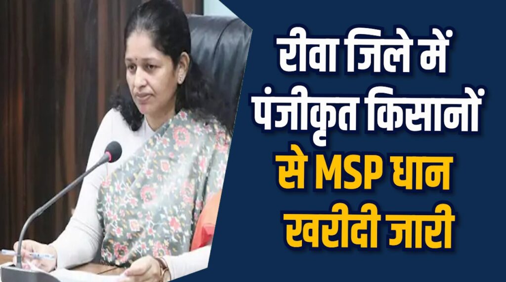 Rewa News: रीवा में MSP धान खरीदी तय, तारीख के अनुसार जारी