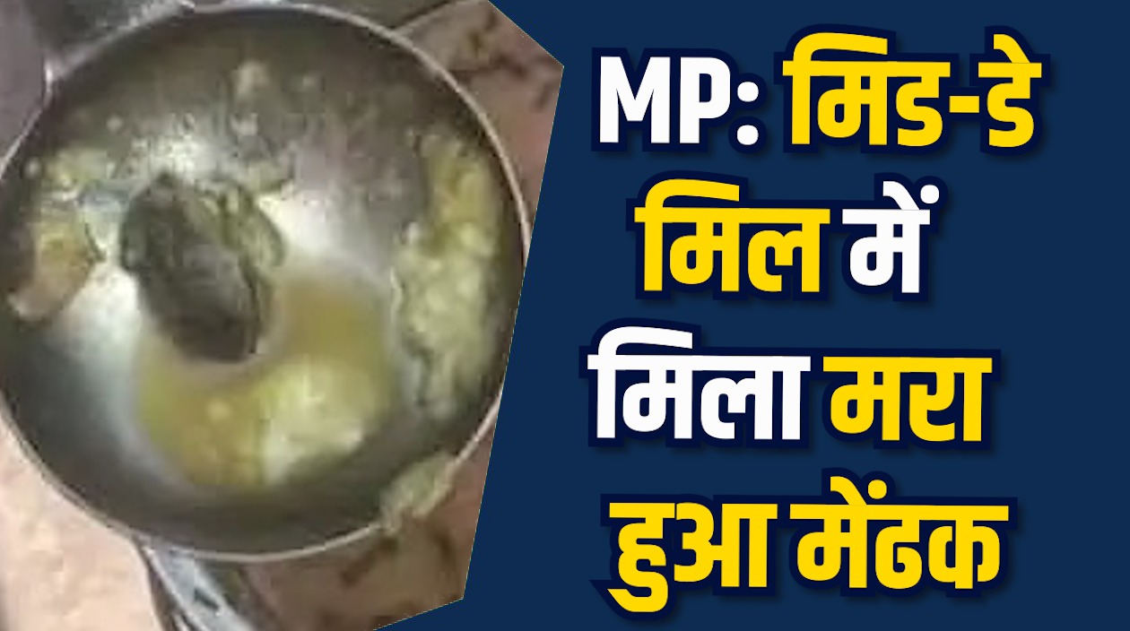 MP News: मध्याह्न भोजन में निकला मरा हुआ मेंढक, स्कूल का वीडियो वायरल
