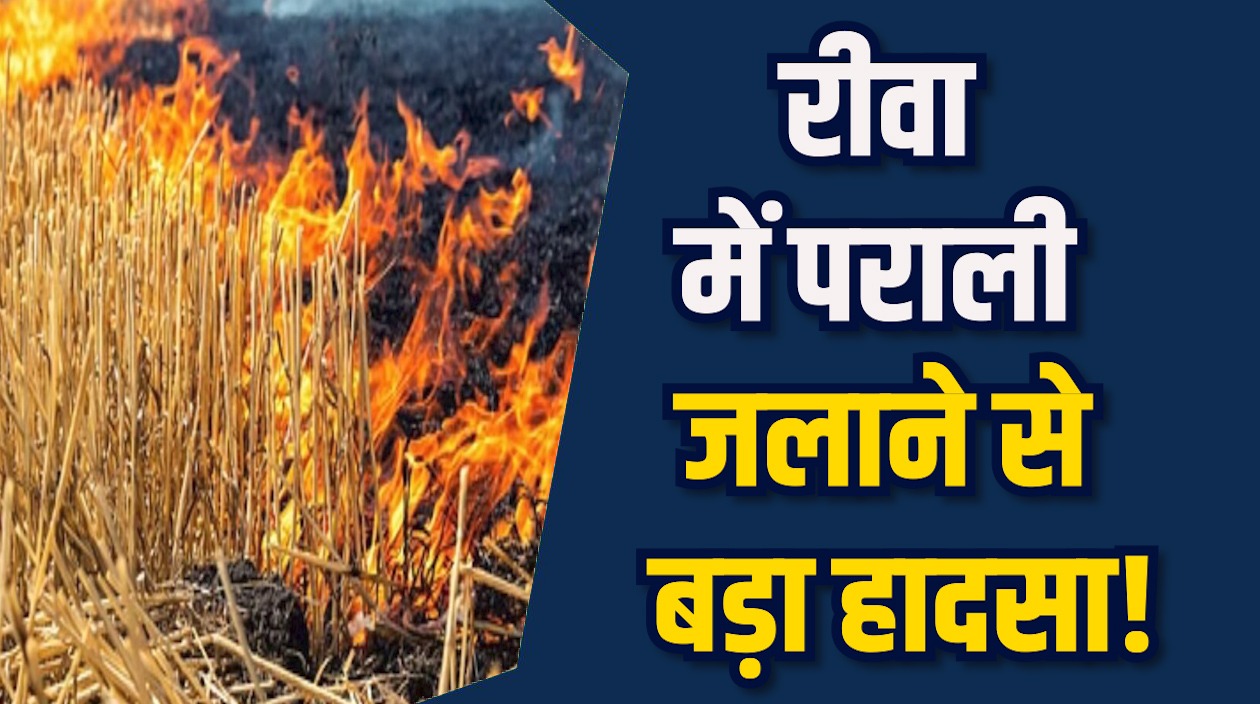 Rewa News: रीवा में पराली जलाने से आग बेकाबू, प्रशासन के आदेश बेअसर