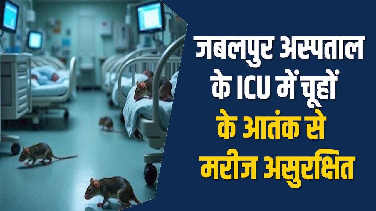 MP News: जबलपुर अस्पताल के ICU में चूहे, मरीजों की जान खतरे मे