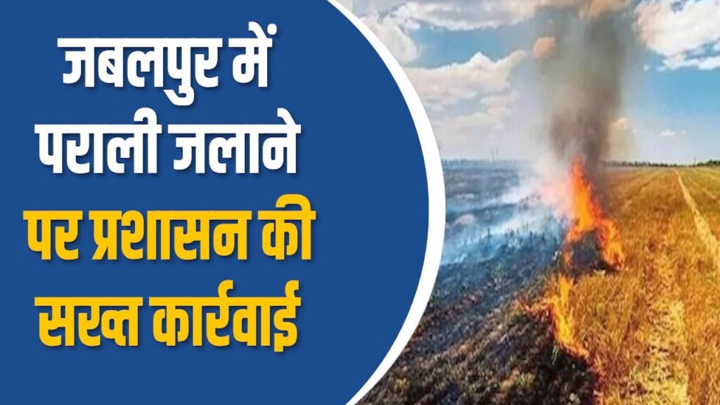 MP News: जबलपुर प्रशासन ने पराली जलाने पर 17 किसानों पर जुर्माना लगाया