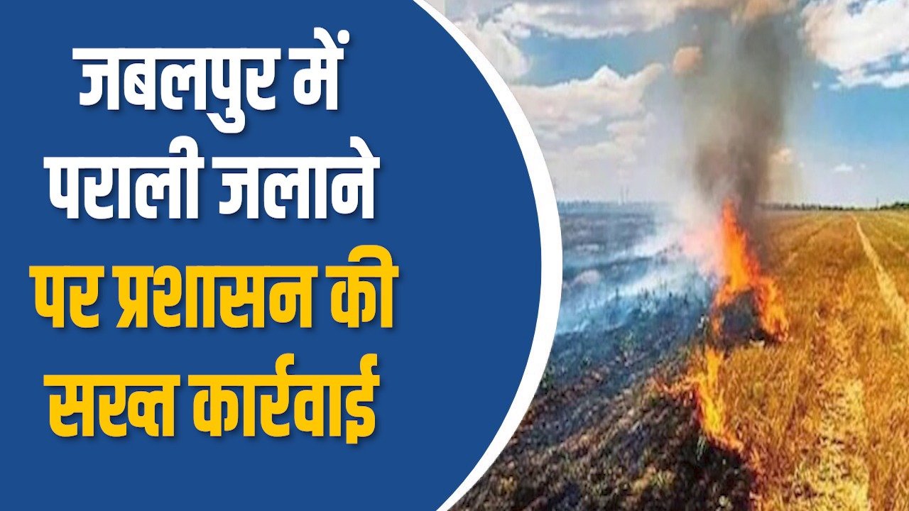 MP News: जबलपुर प्रशासन ने पराली जलाने पर 17 किसानों पर जुर्माना लगाया