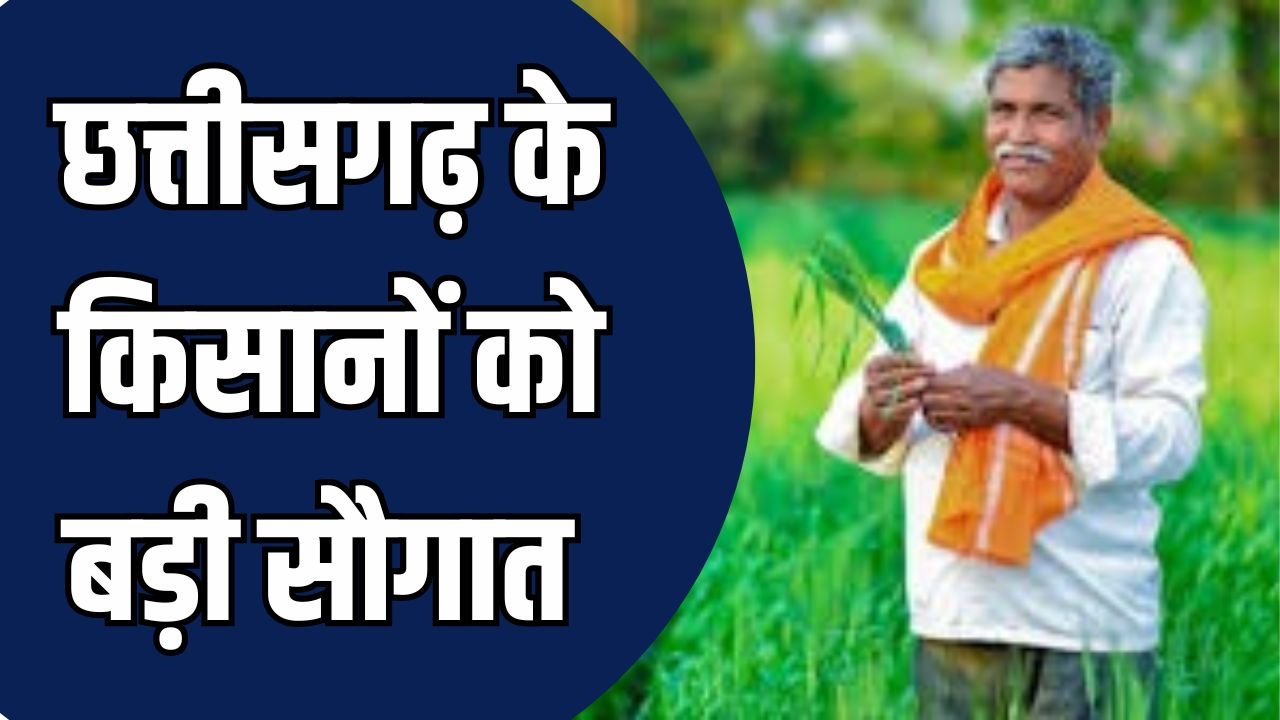 CG News: छत्तीसगढ़ के किसानों को बड़ी सौगात, MSP पर होगी दलहन-तिलहन खरीदी