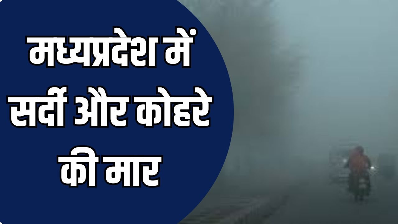 MP News: मध्यप्रदेश में सर्दी और कोहरे की मार, सड़क, रेल और जनजीवन प्रभावित