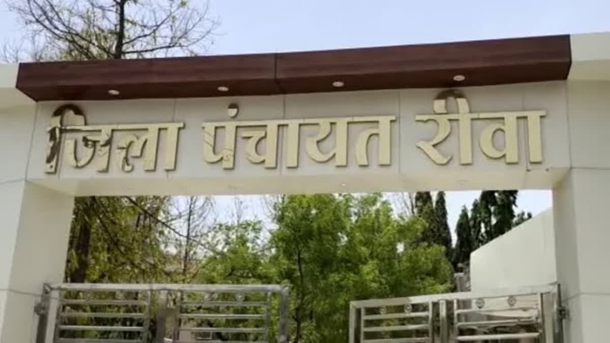 Rewa News: रीवा जिला पंचायत में करोड़ों का भ्रष्टाचार, कार्रवाई कागज़ों में सिमटी