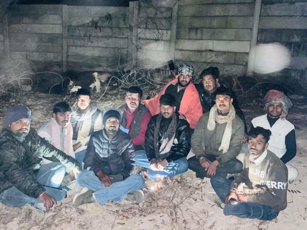 Satna News: सतना में करंट से गौवंश की मौत, बिरला फैक्ट्री पर लापरवाही के आरोप