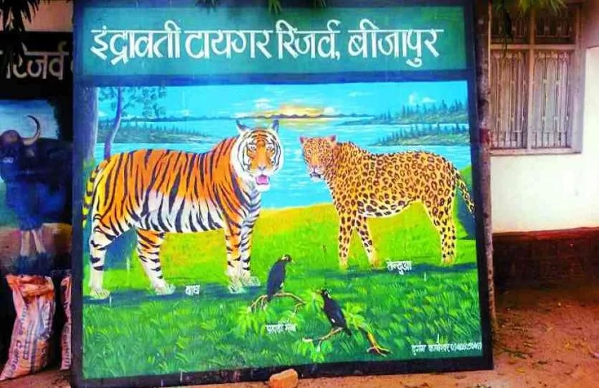 CG News: इंद्रावती टाइगर रिजर्व बना गिद्धों का सुरक्षित केंद्र, संरक्षण में मिली नई उड़ान