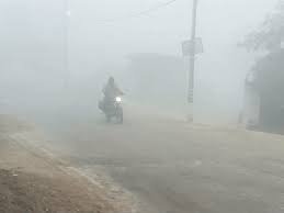 Rewa News: रीवा में कोहरे का कहर, अगले पांच दिनों तक तेज ठंड का अलर्ट