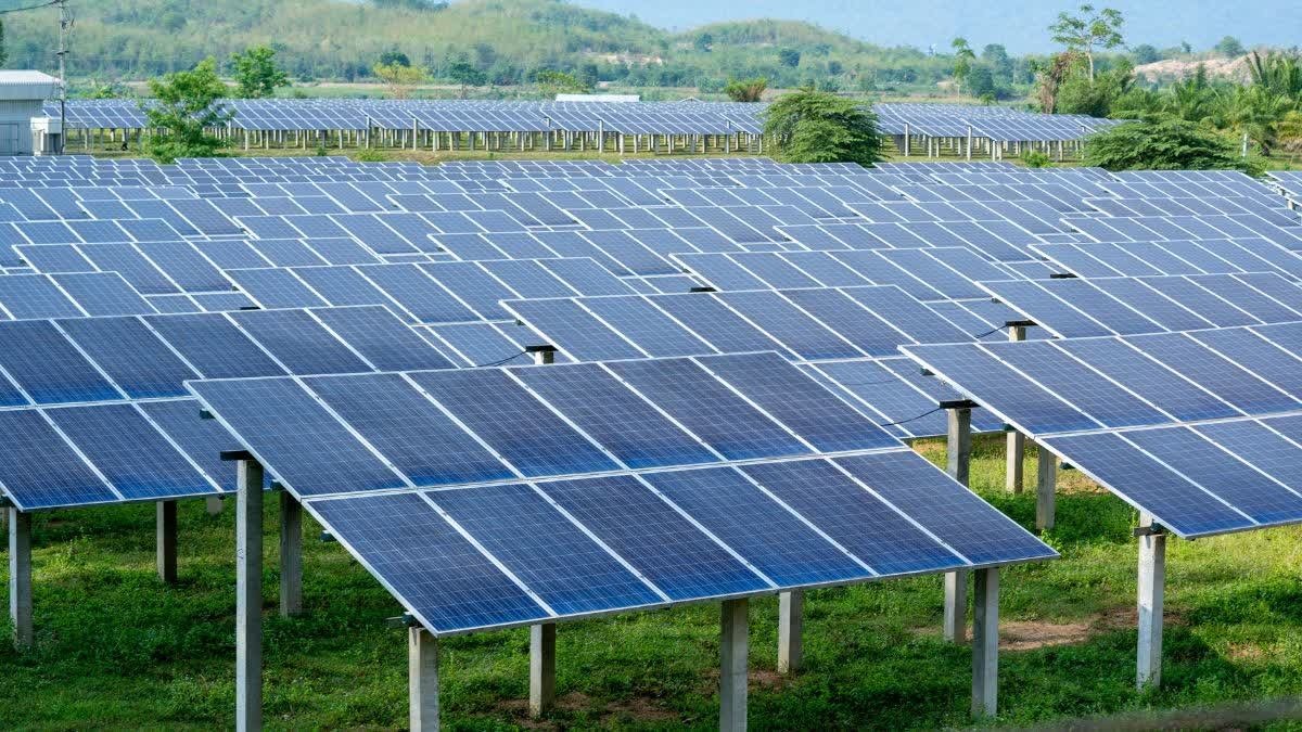 MP News: MP जेनको लगाएगी 110 मेगावाट के सोलर प्लांट, कम लागत में बिजली उत्पादन का लक्ष्य