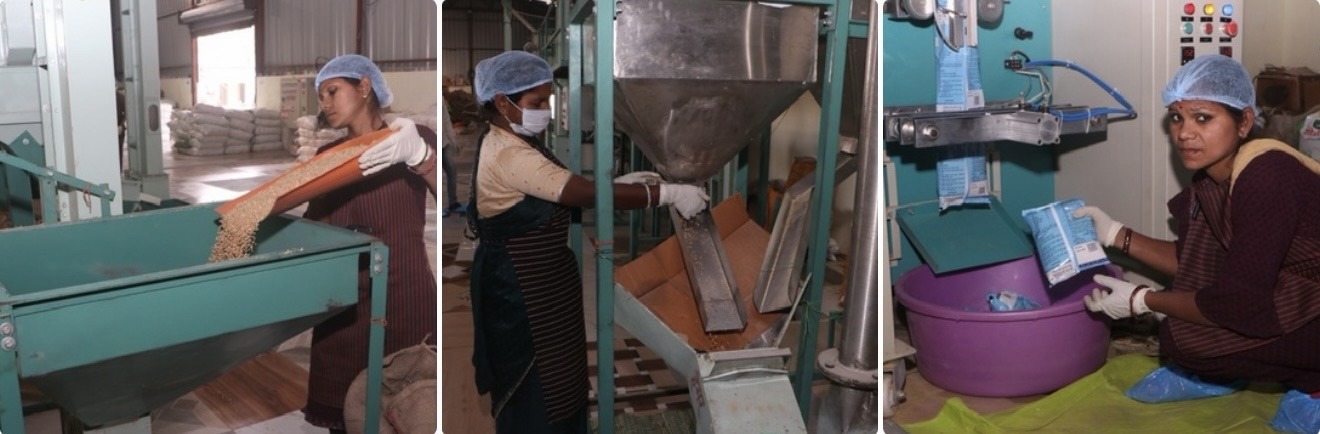 CG News: सूरजपुर की महिलाएं बनीं आत्मनिर्भरता की ताकत, पोषण निर्माण में निभा रहीं अहम भूमिका