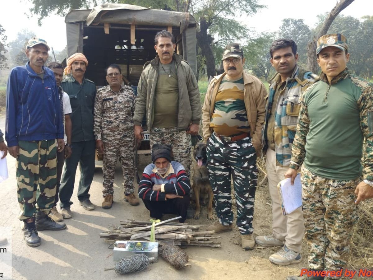 Satna News: सतना में अवैध बिजली के झटके से नीलगाय की मौत, आरोपी खेत मालिक हुआ गिरफ्तार