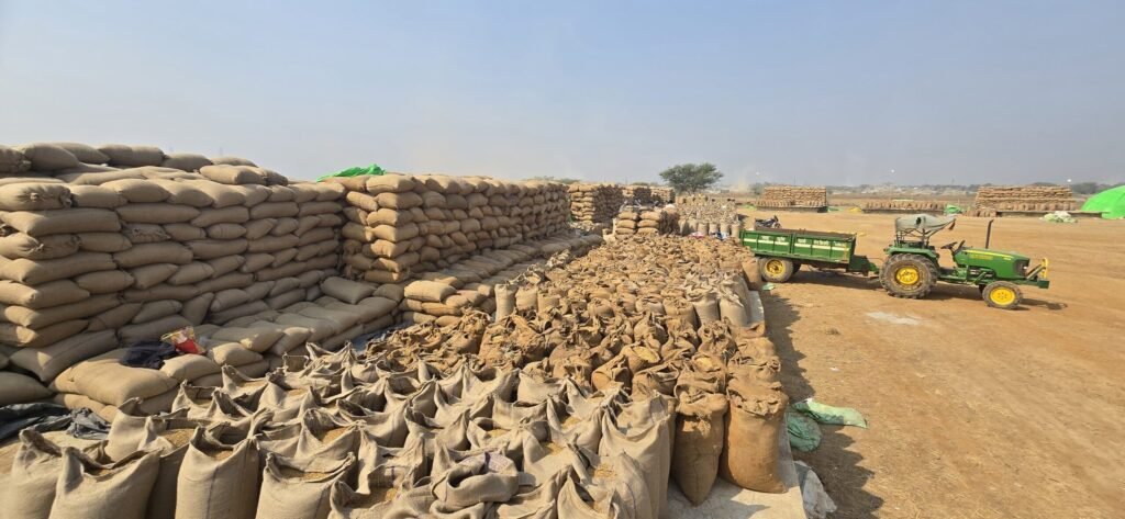 CG News: धान भंडारण में सूखत सामान्य, डिजिटल निगरानी से पूरी पारदर्शिता