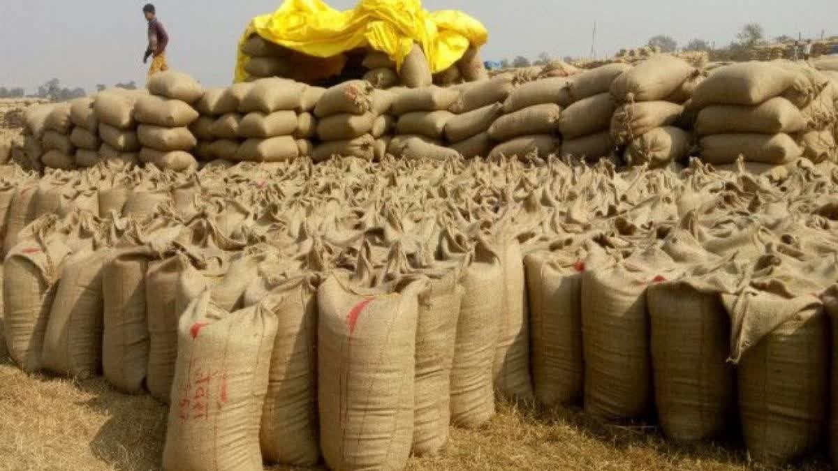 CG News: छत्तीसगढ़ में डिजिटल धान खरीदी से किसान हुए सशक्त