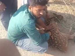 ग्रामीणों ने बचाई जान