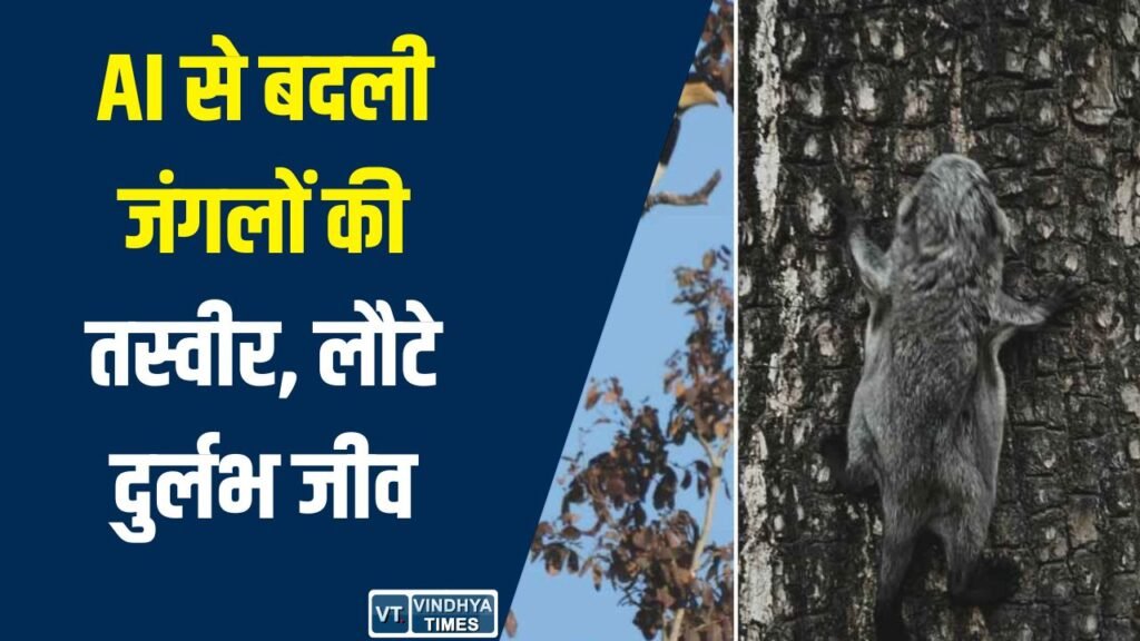 CG News: छत्तीसगढ़ के जंगलों में बड़ा बदलाव, AI और स्थानीय ज्ञान से लौट रहीं दुर्लभ प्रजातियाँ