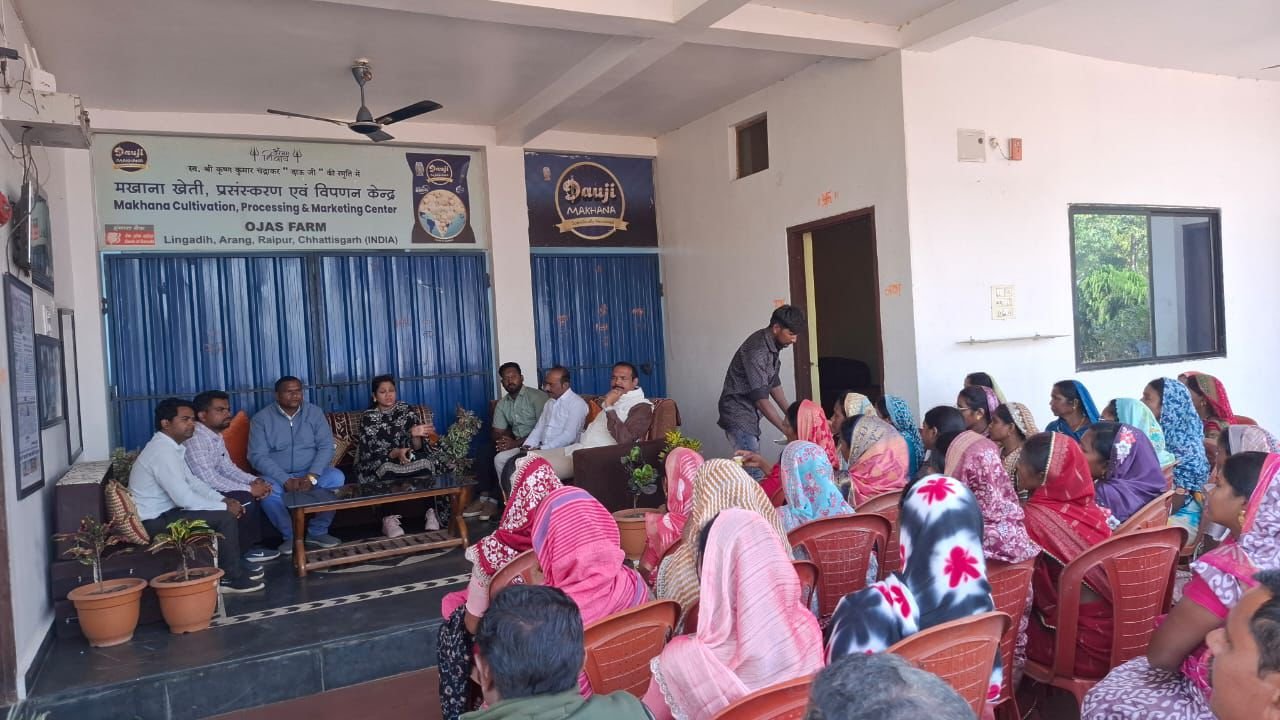 CG News: धमतरी को मखाना हब बनाने की नई पहल, महिला किसानों को मिलेगा आर्थिक सशक्तिकरण