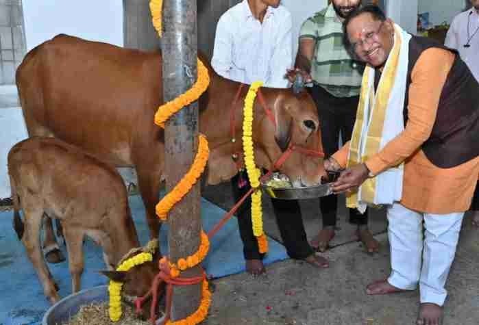 CG News: मुख्यमंत्री विष्णुदेव साय ने गौधाम योजना का किया शुभारंभ, पशुओं के संरक्षण और संवर्धन को मिलेगा बढ़ावा