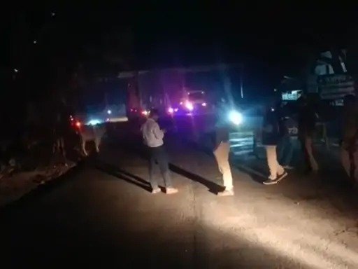 Sidhi News: सीधी मे हाथियों की आवाजाही से थमी गाड़ियों की रफ्तार, छुहिया घाटी में वन विभाग अलर्ट