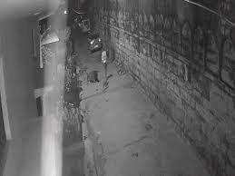 Rewa News: रीवा से गायों के रहस्यमयी गायब होने का मामला, लोगों ने एसपी को सौंपा ज्ञापन